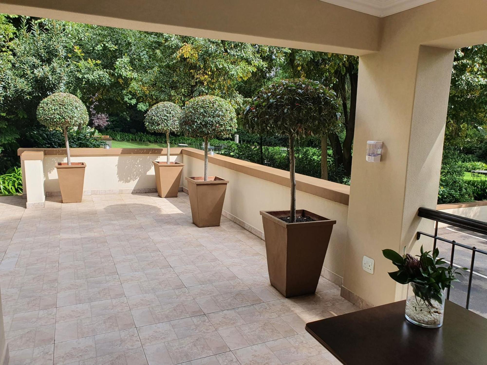 10 2Nd Avenue Houghton Estate By Dream Resorts ヨハネスブルグ エクステリア 写真